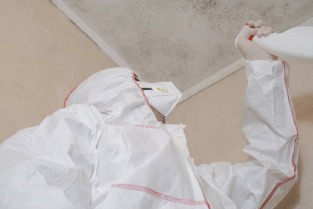 Best Crawl Space Mold Removal  in Ames, TX